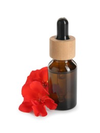 Photo of Bottle of geranium essential oil and beautiful flowers isolated on white