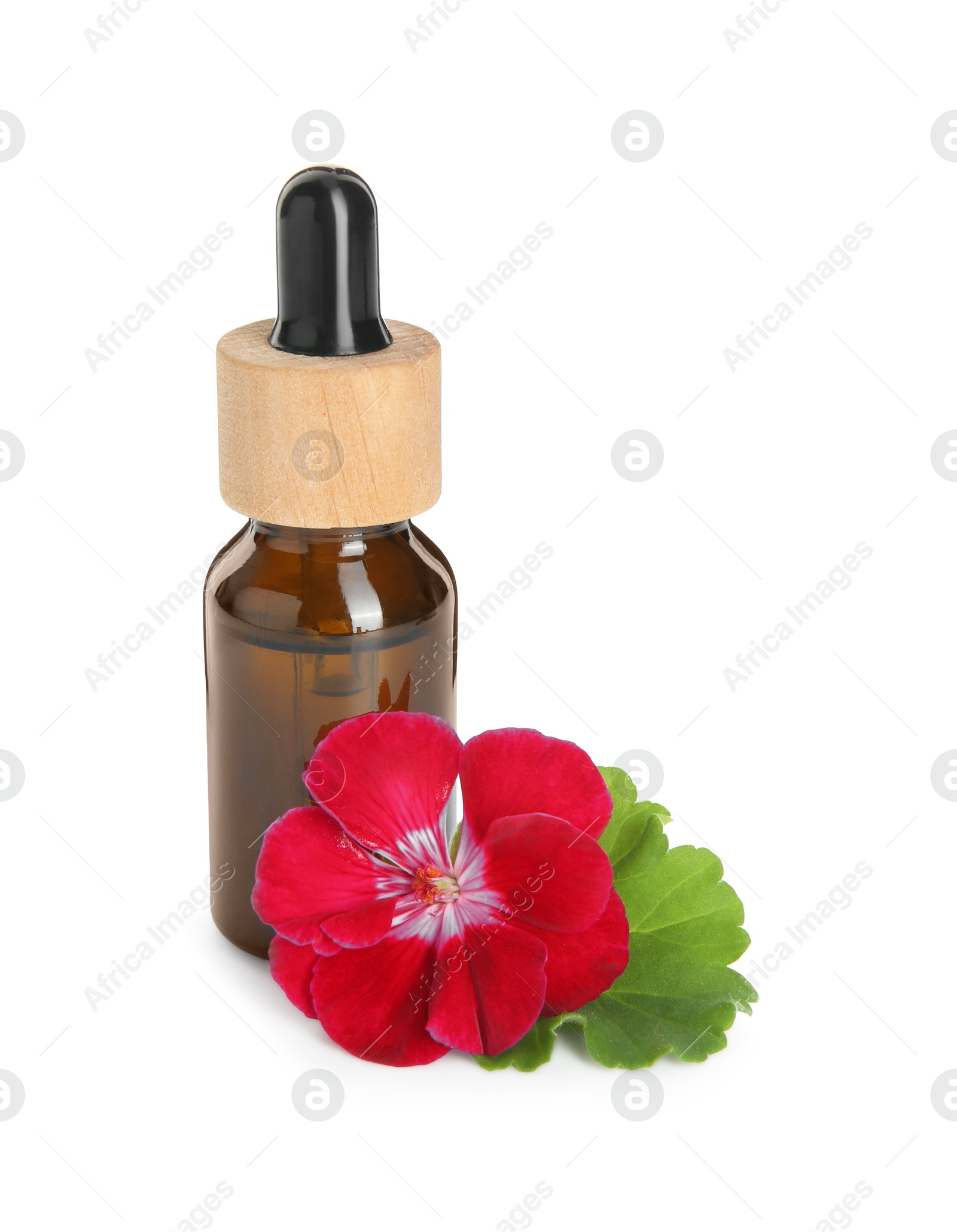 Photo of Bottle of geranium essential oil and beautiful flower isolated on white