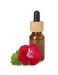 Photo of Bottle of geranium essential oil and beautiful flower isolated on white