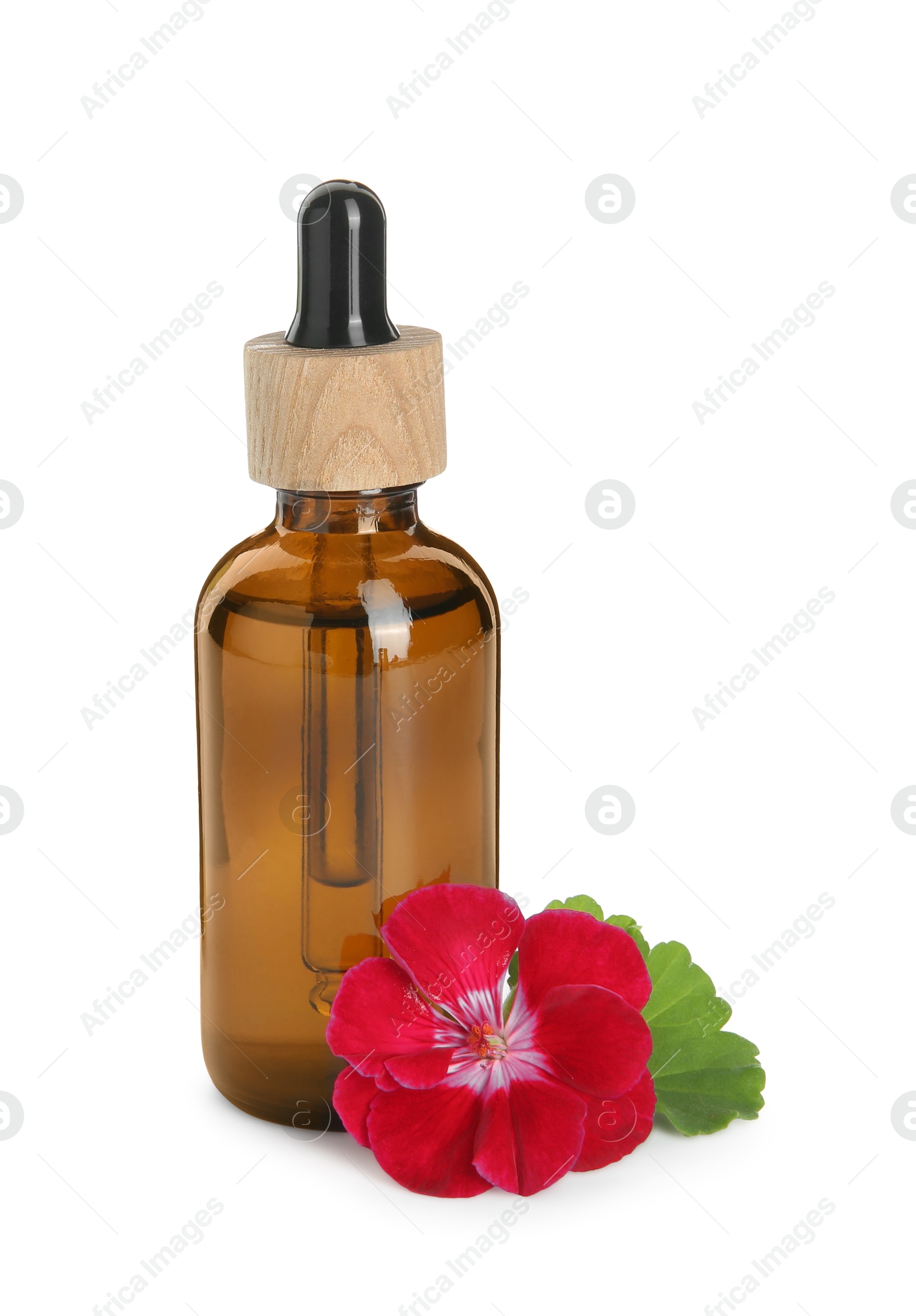 Photo of Bottle of geranium essential oil and beautiful flower isolated on white