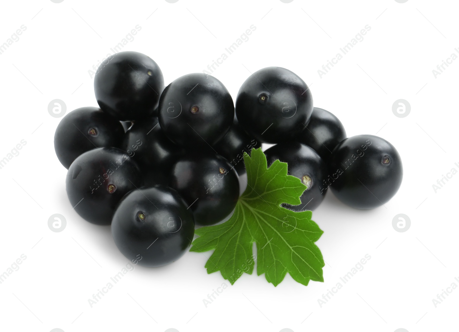 Photo of Fresh ripe black currant berries with leaf isolated on white