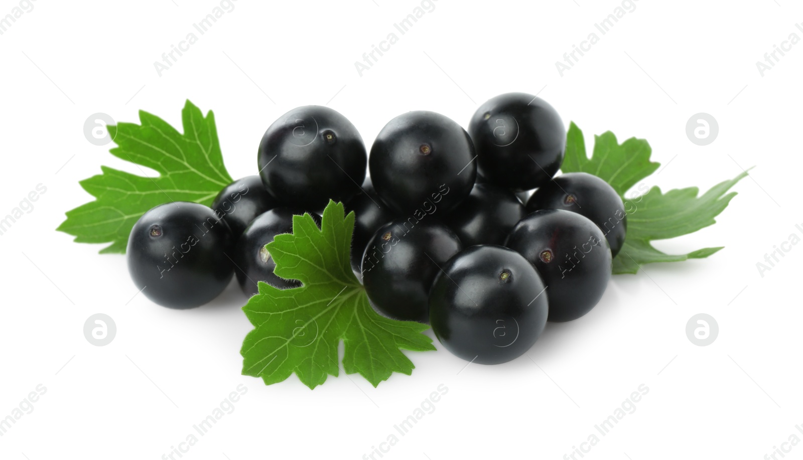 Photo of Fresh ripe black currant berries with leaves isolated on white