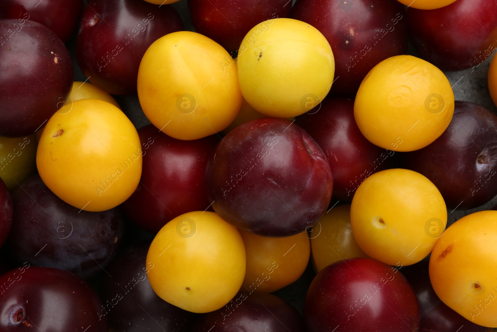 Photo of Tasty ripe plums as background, top view