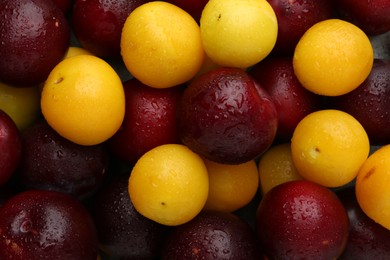 Photo of Tasty ripe plums as background, top view