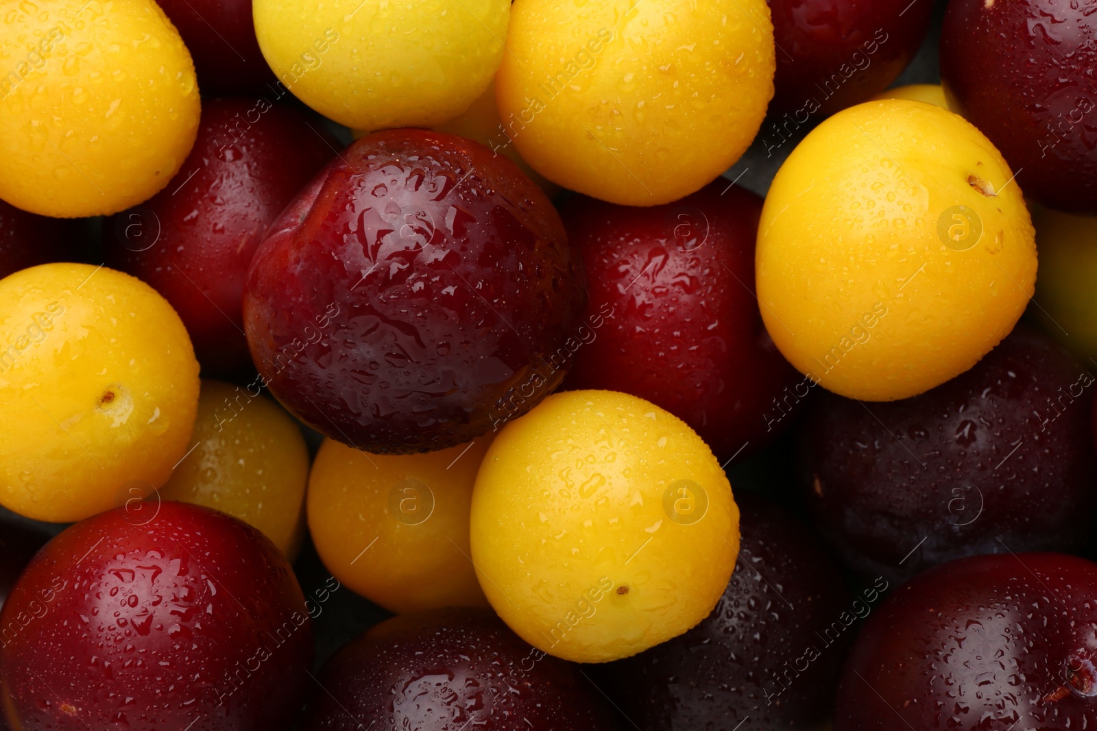 Photo of Tasty ripe plums as background, top view