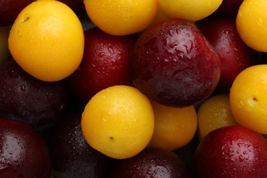 Photo of Tasty ripe plums as background, top view