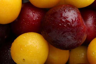 Photo of Tasty ripe plums as background, top view