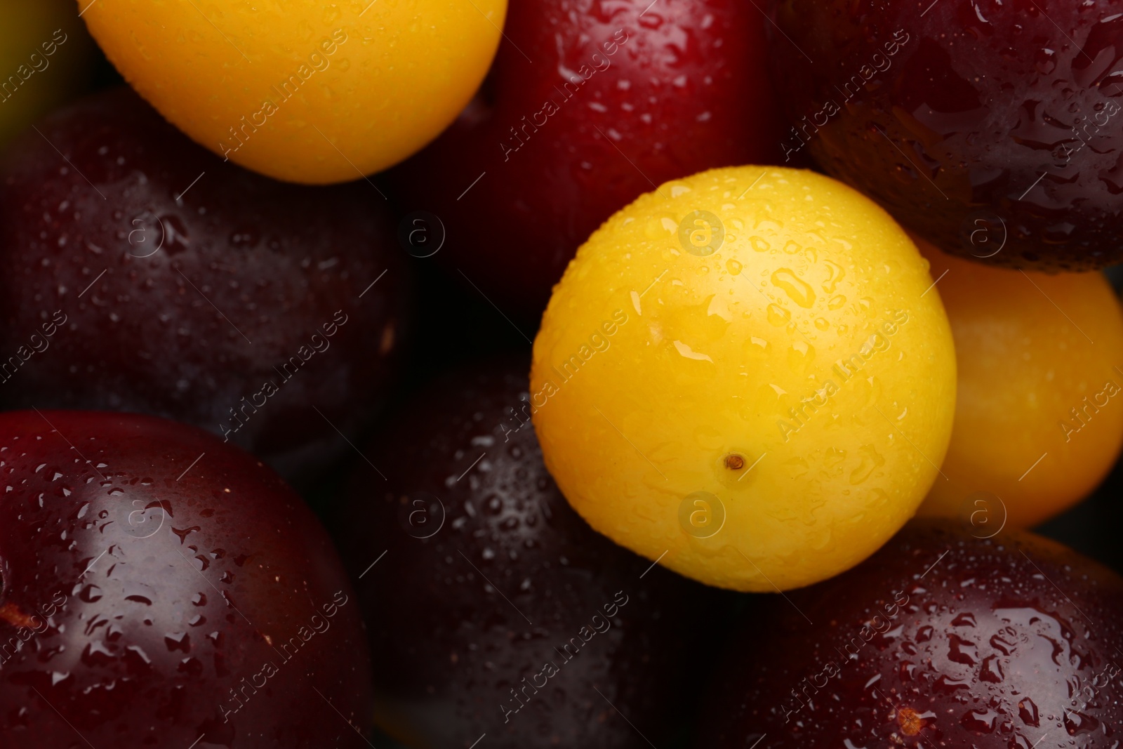 Photo of Tasty ripe plums as background, top view