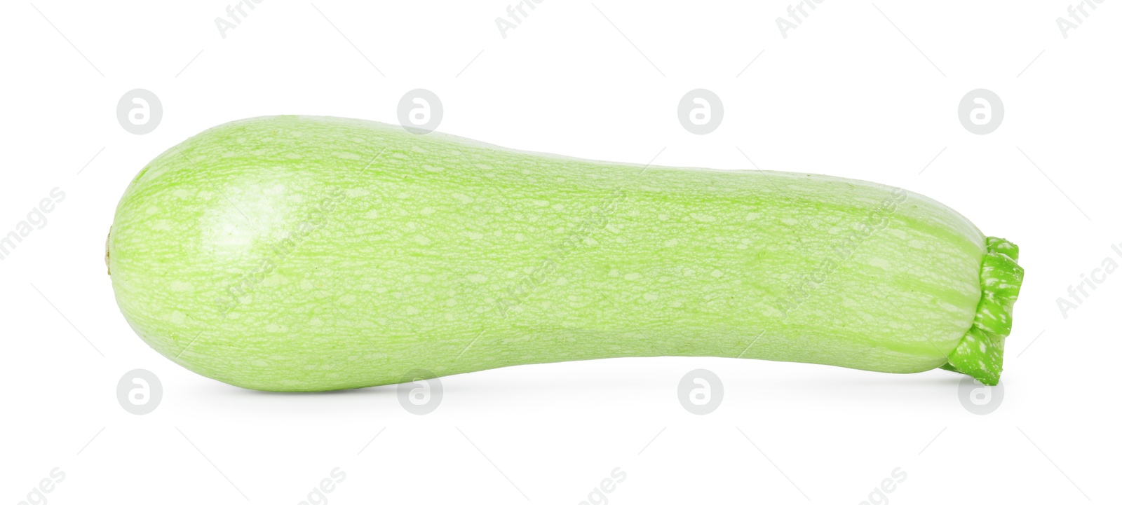 Photo of One fresh ripe zucchini isolated on white