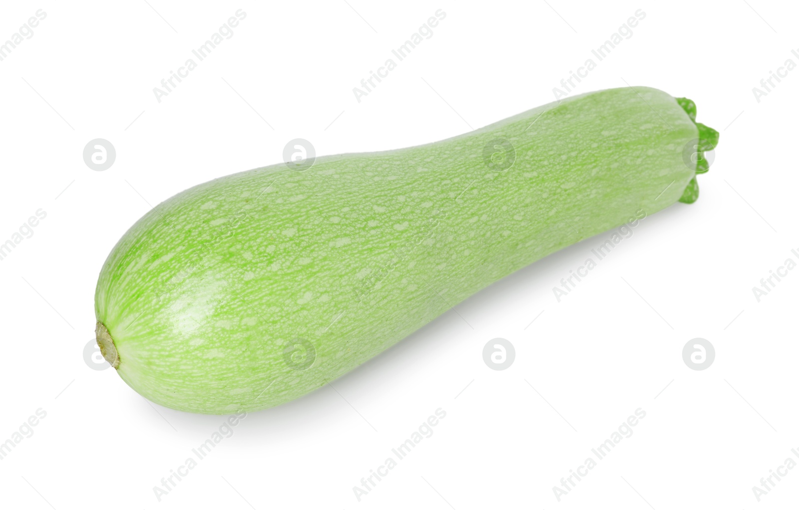 Photo of One fresh ripe zucchini isolated on white