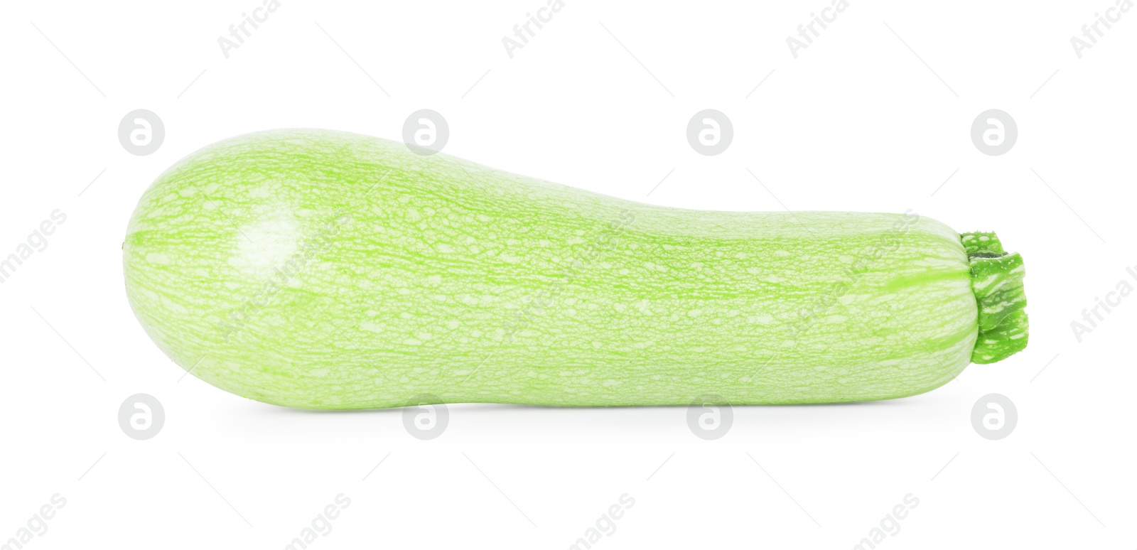 Photo of One fresh ripe zucchini isolated on white