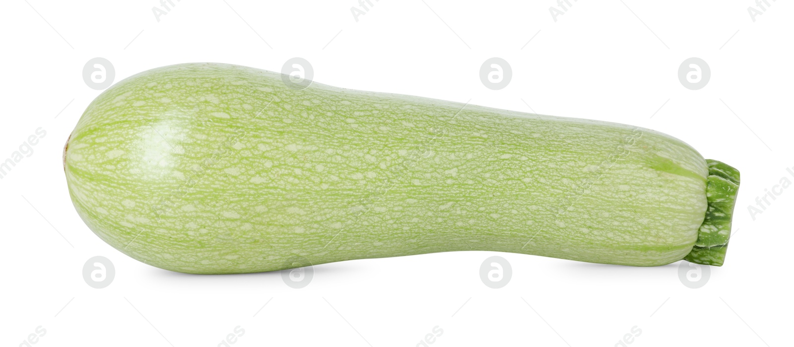 Photo of One fresh ripe zucchini isolated on white