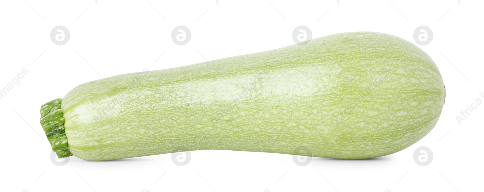 Photo of One fresh ripe zucchini isolated on white