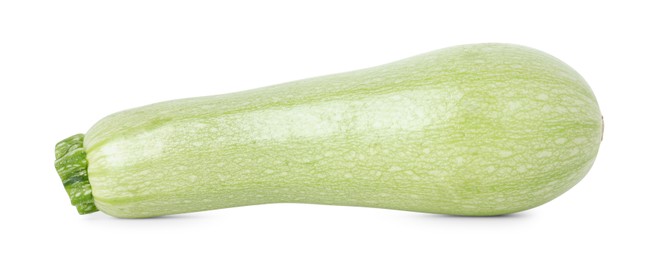 Photo of One fresh ripe zucchini isolated on white