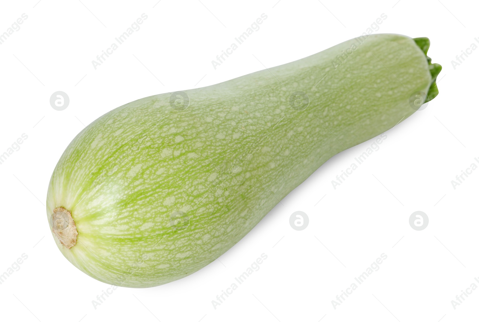 Photo of One fresh ripe zucchini isolated on white