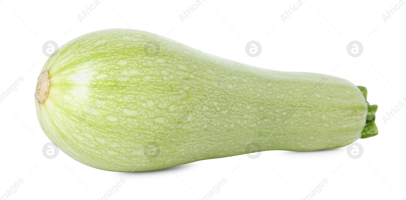 Photo of One fresh ripe zucchini isolated on white