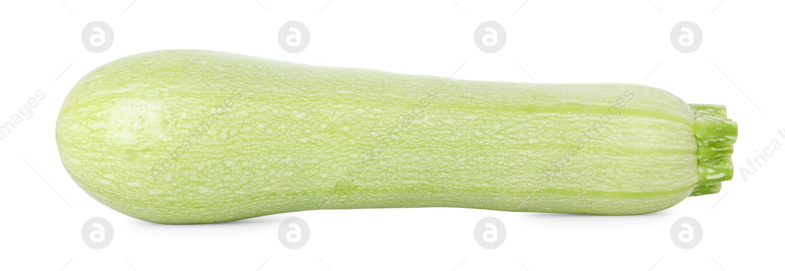 Photo of One fresh ripe zucchini isolated on white