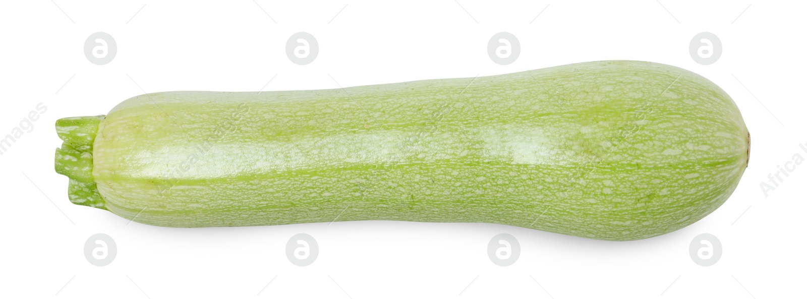 Photo of One fresh ripe zucchini isolated on white, top view