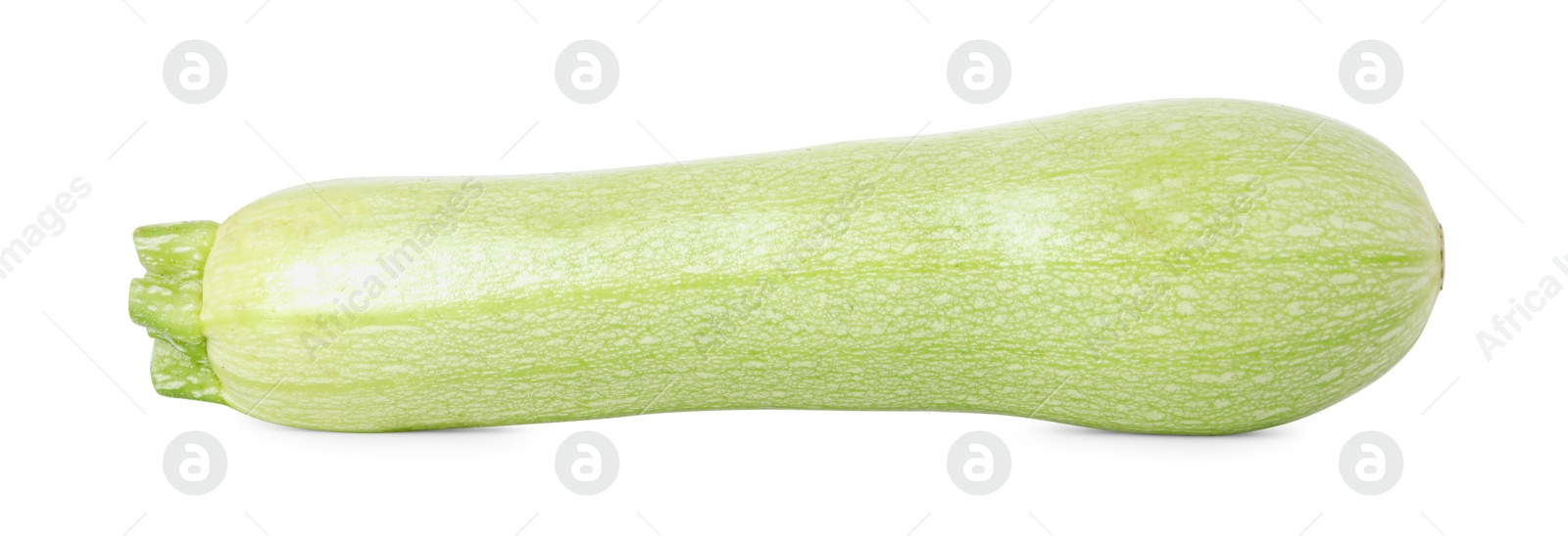 Photo of One fresh ripe zucchini isolated on white