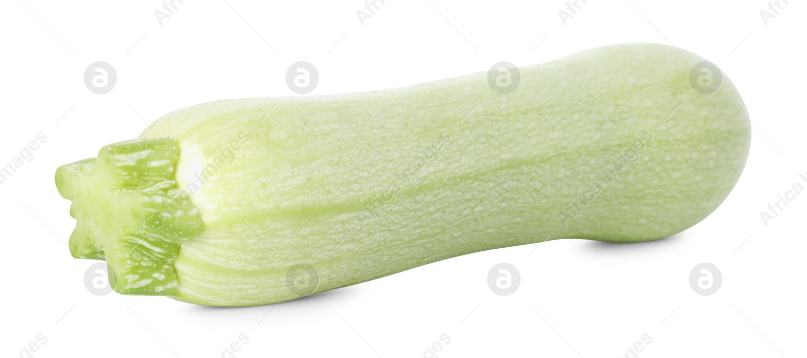 Photo of One fresh ripe zucchini isolated on white