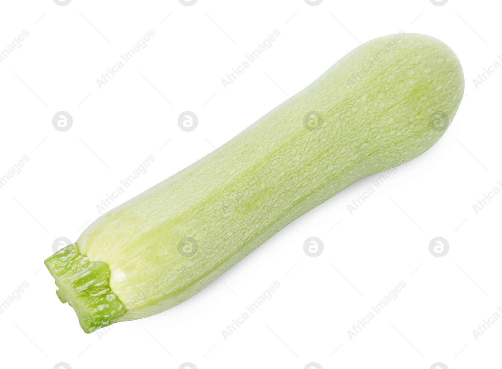 Photo of One fresh ripe zucchini isolated on white, top view