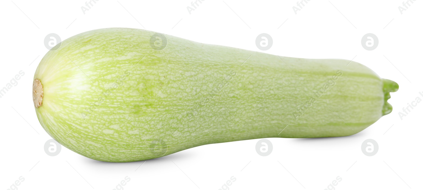 Photo of One fresh ripe zucchini isolated on white