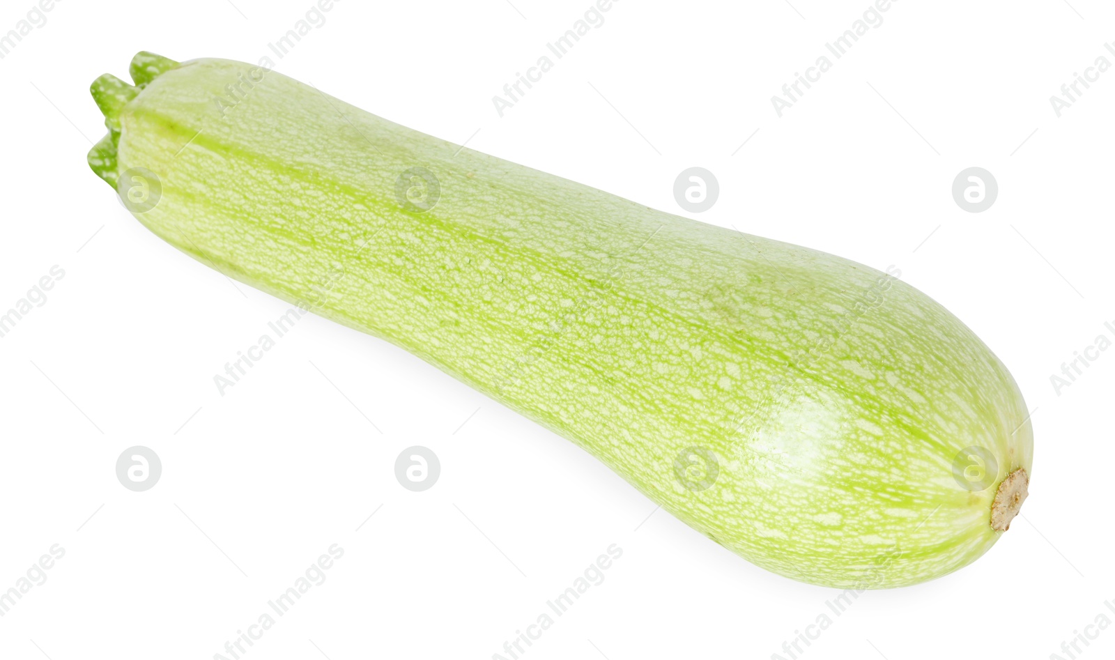 Photo of One fresh ripe zucchini isolated on white