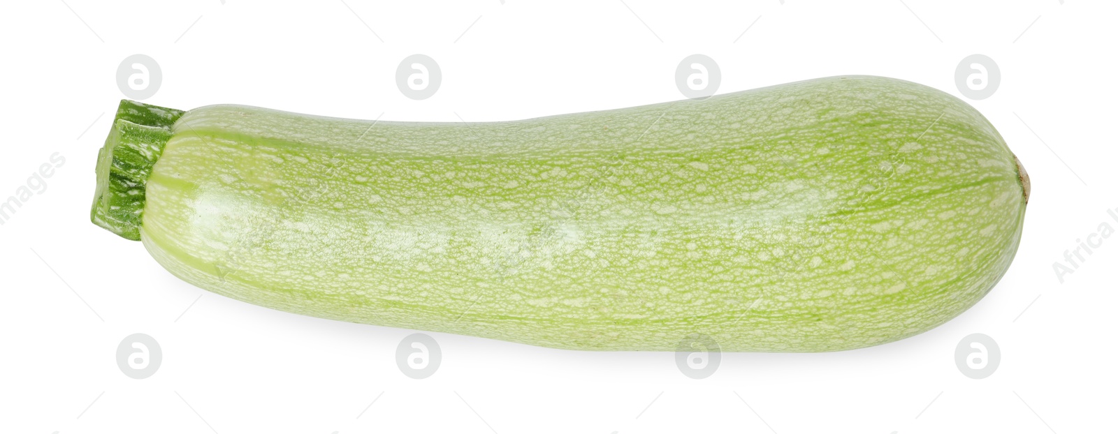 Photo of One fresh ripe zucchini isolated on white, top view