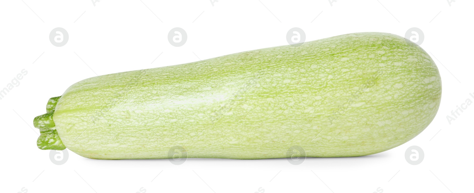 Photo of One fresh ripe zucchini isolated on white