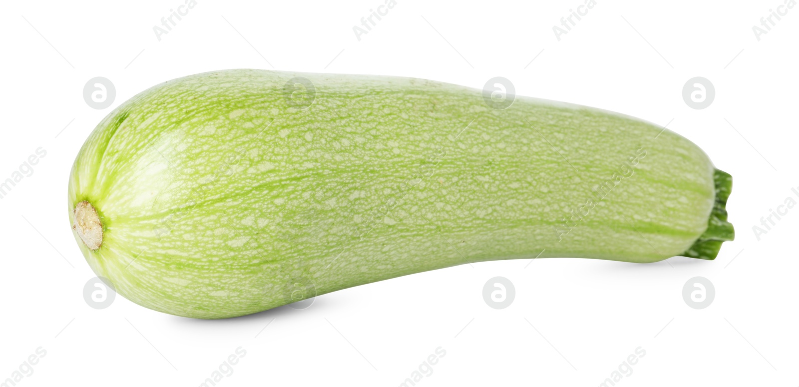 Photo of One fresh ripe zucchini isolated on white