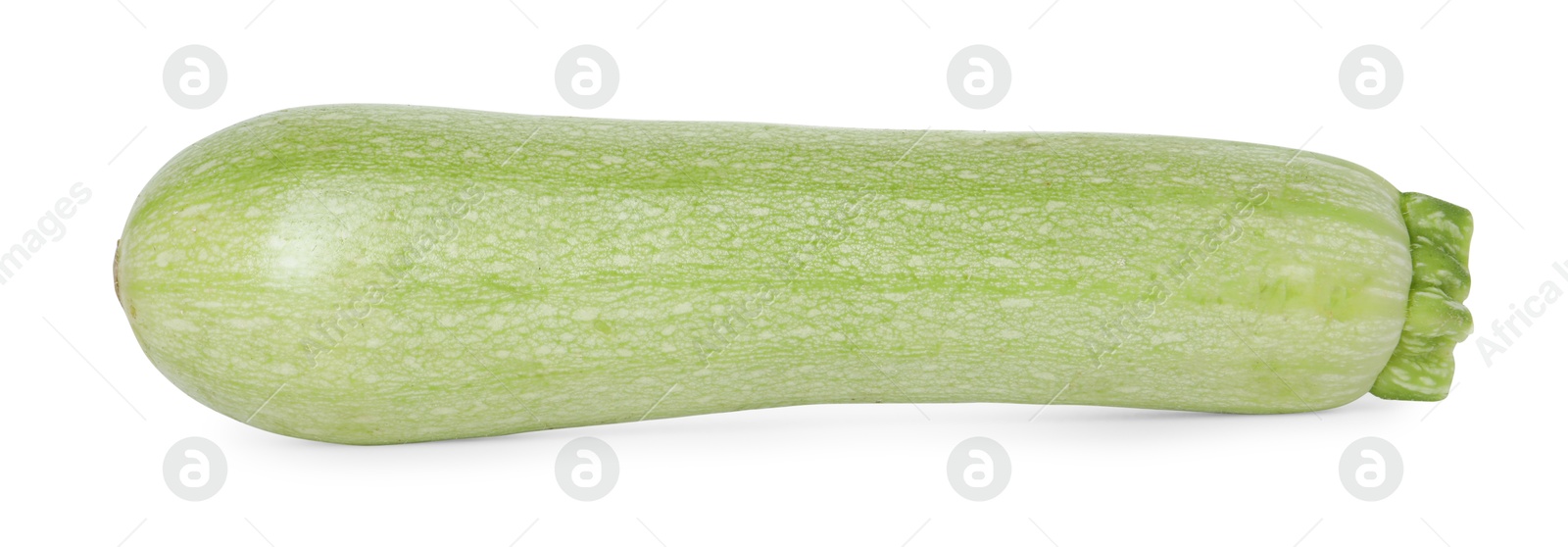 Photo of One fresh ripe zucchini isolated on white