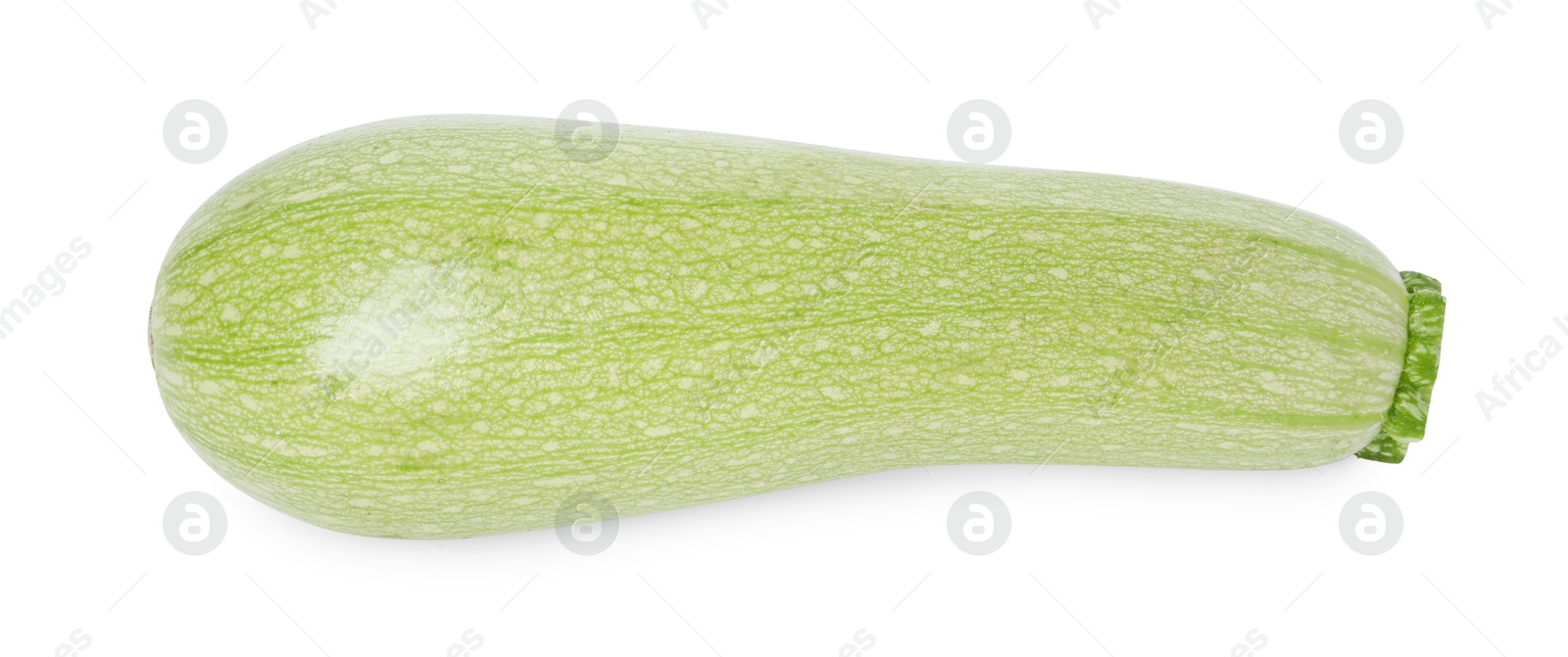 Photo of One fresh ripe zucchini isolated on white, top view