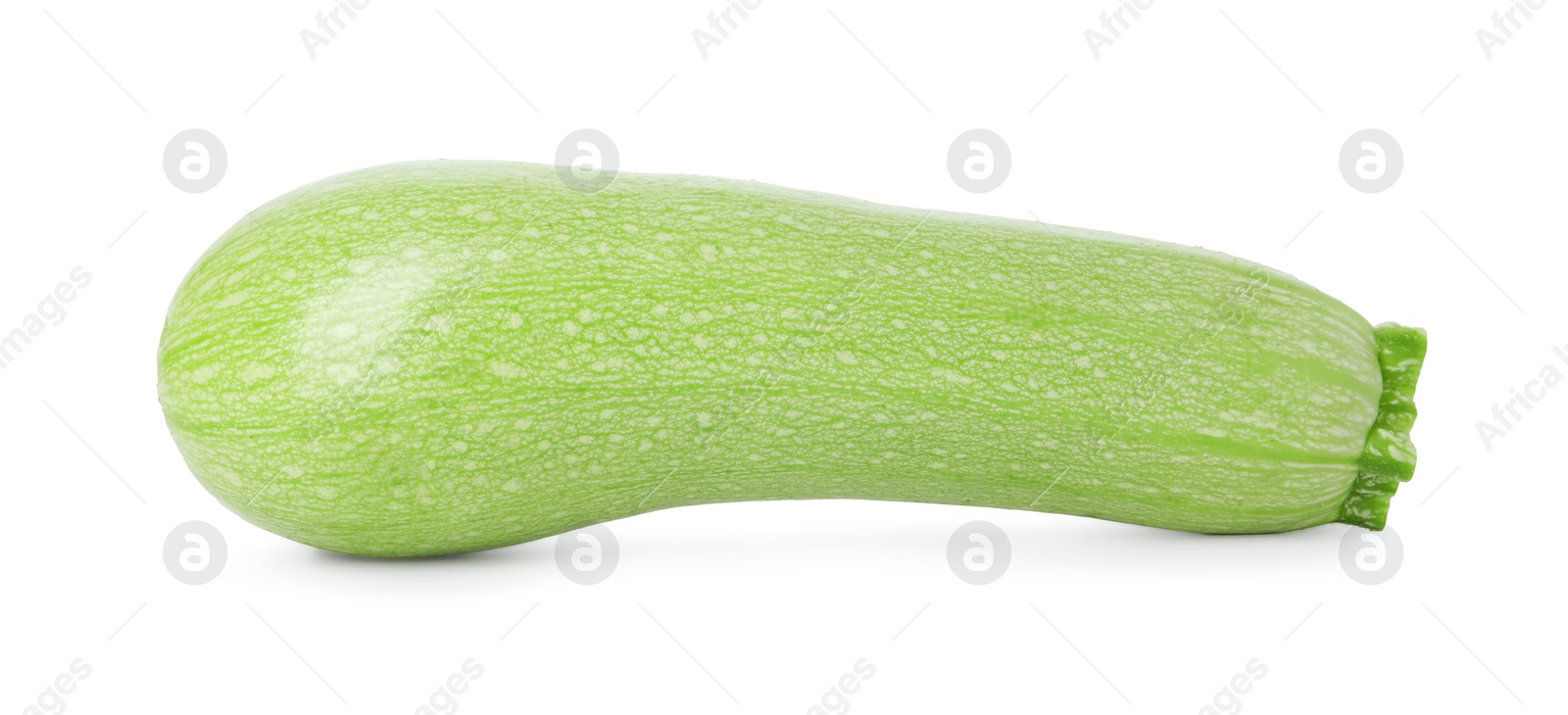 Photo of One fresh ripe zucchini isolated on white