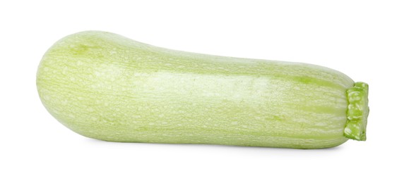 Photo of One fresh ripe zucchini isolated on white