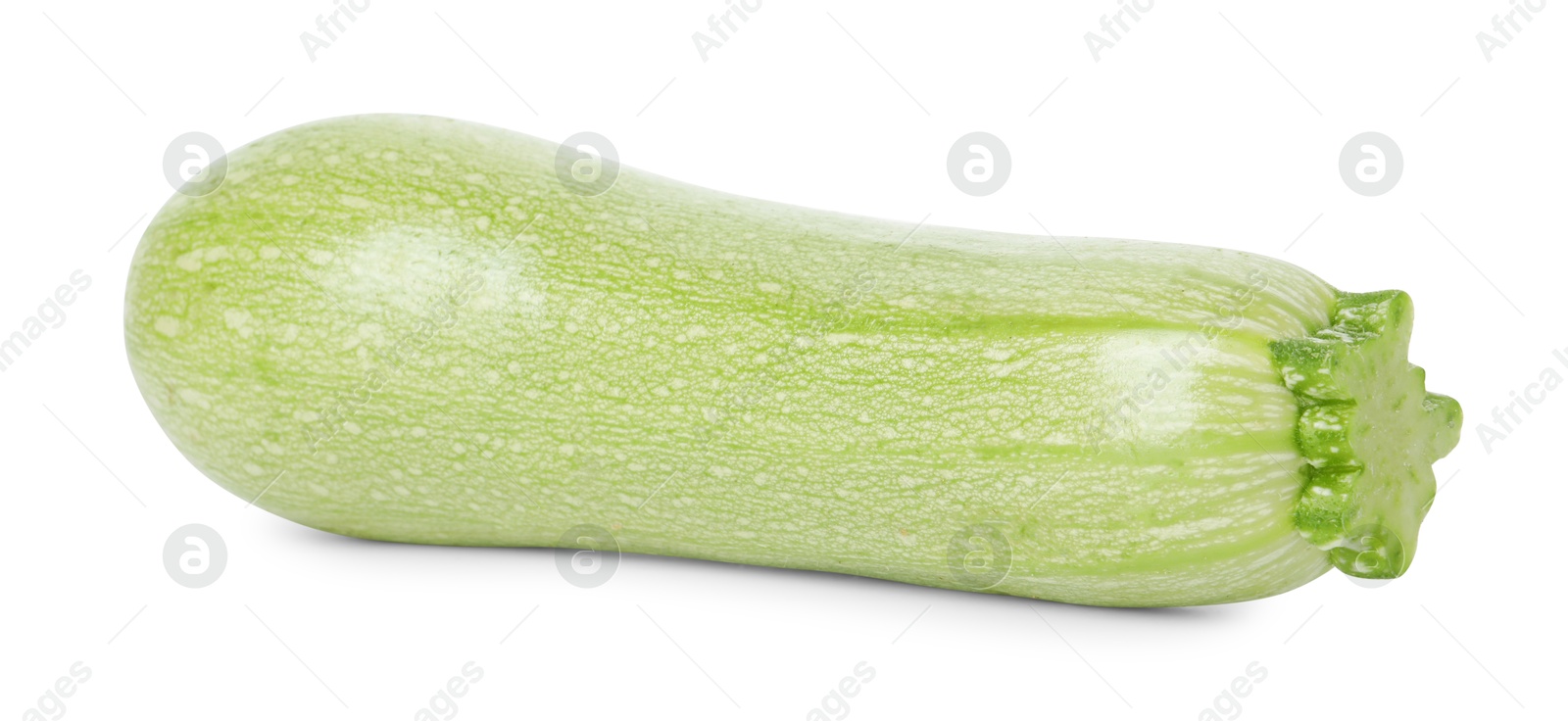 Photo of One fresh ripe zucchini isolated on white