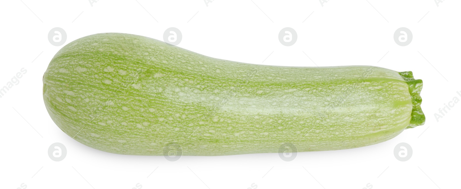 Photo of One fresh ripe zucchini isolated on white, top view