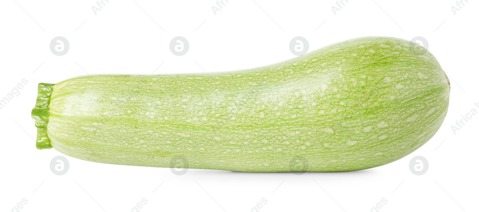 Photo of One fresh ripe zucchini isolated on white