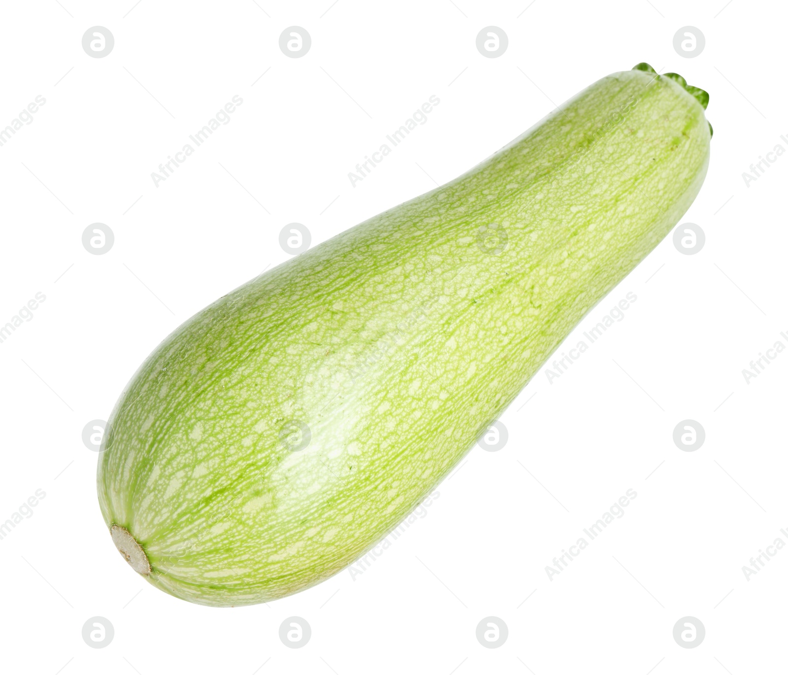 Photo of One fresh ripe zucchini isolated on white