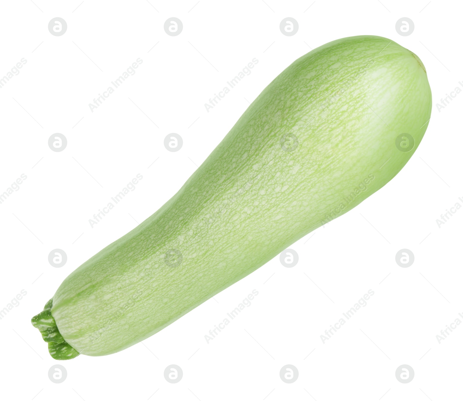 Photo of One fresh ripe zucchini isolated on white