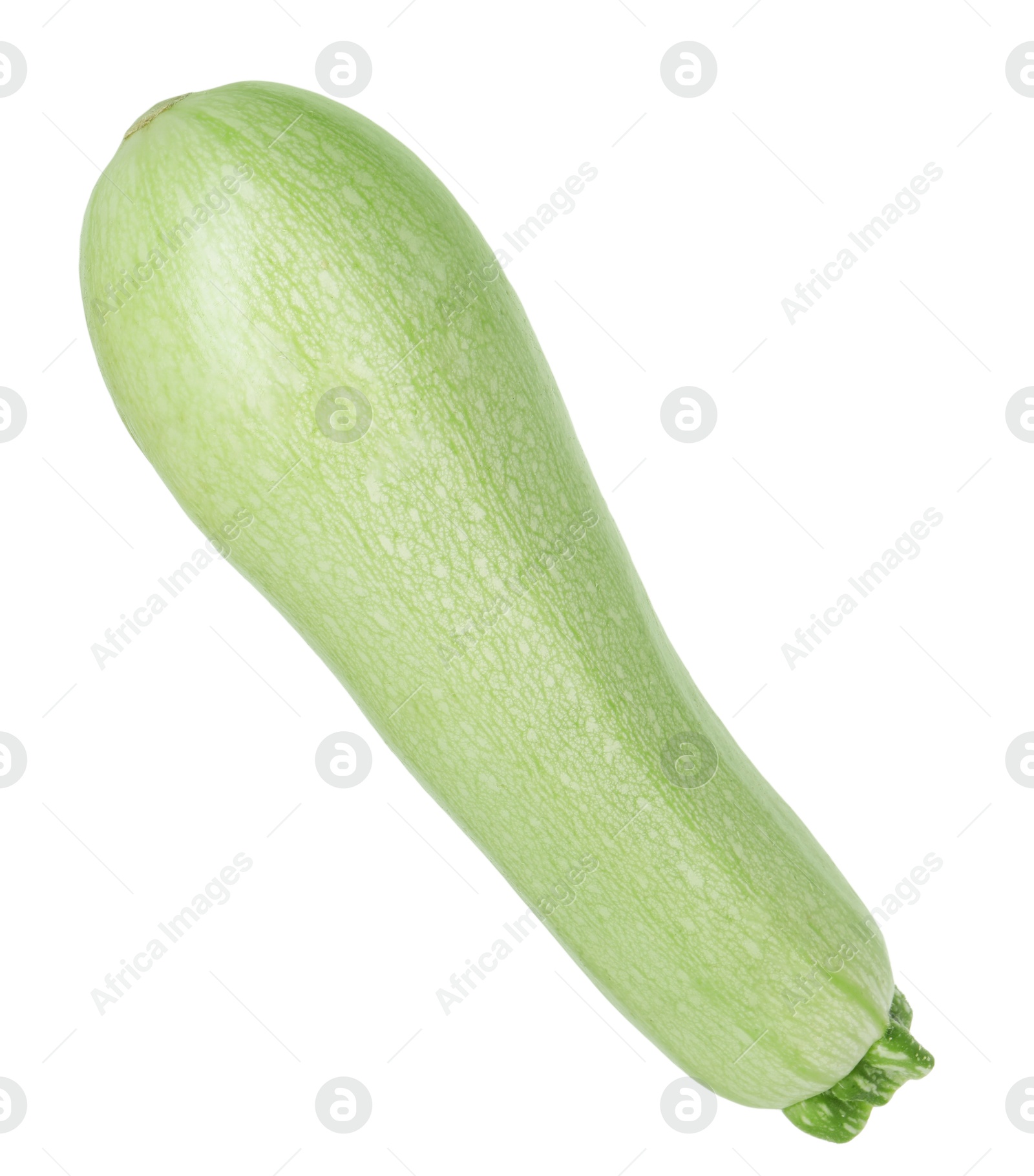 Photo of One fresh ripe zucchini isolated on white