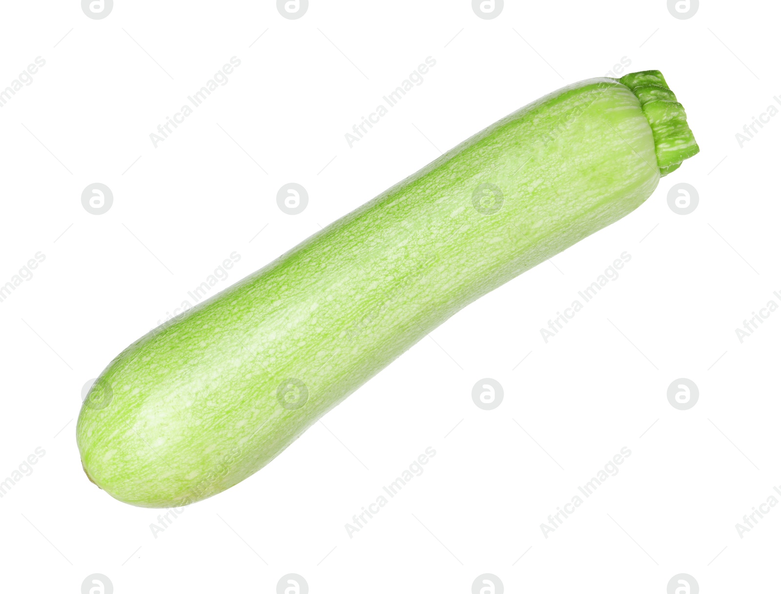 Photo of One fresh ripe zucchini isolated on white