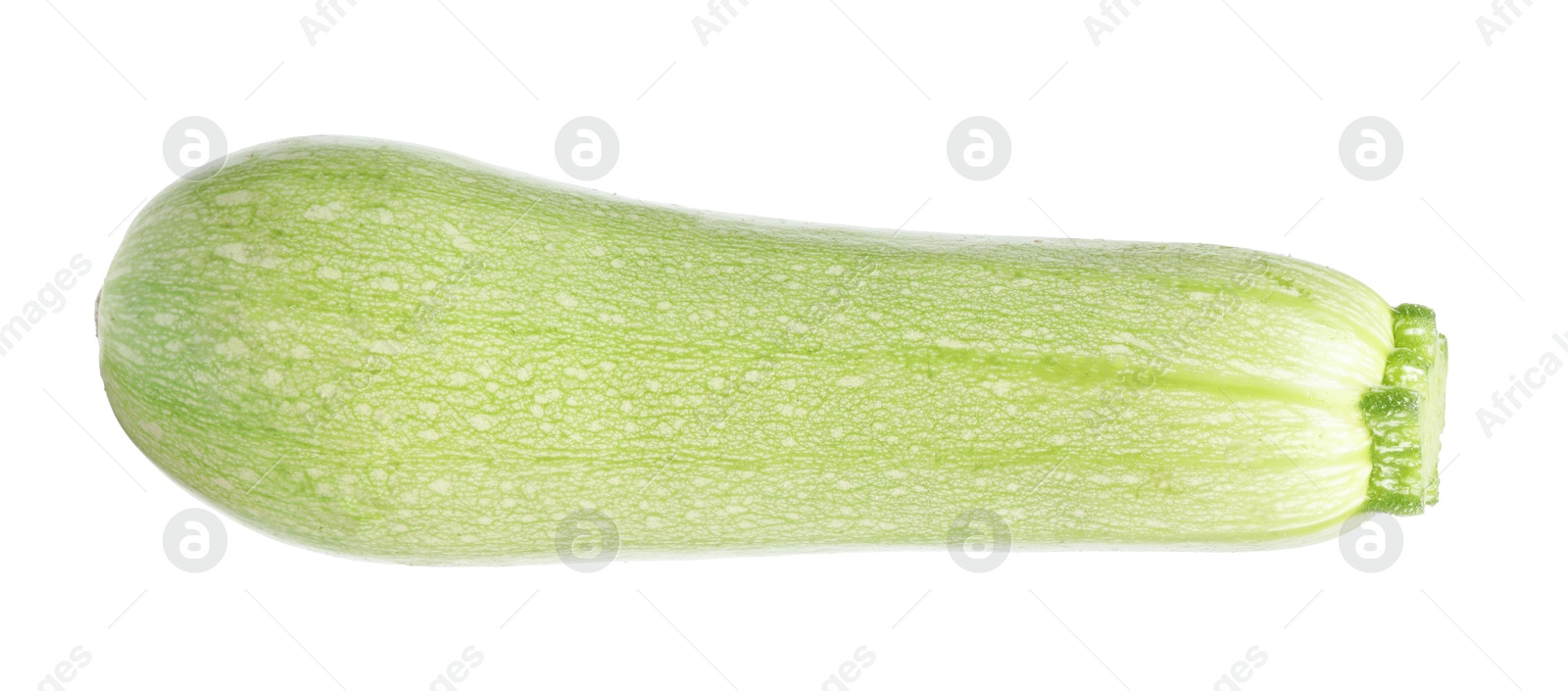 Photo of One fresh ripe zucchini isolated on white