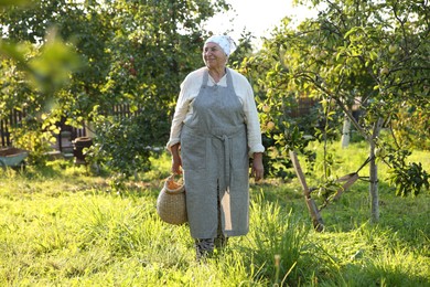 Photo of Senior farmer with basket of fresh apples in garden