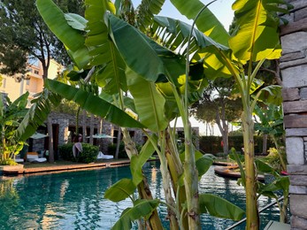 Photo of Outdoor swimming pool with clear water at luxury resort