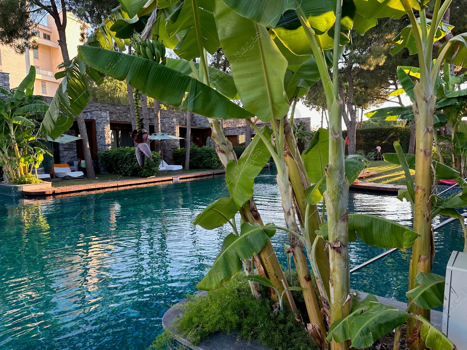 Photo of Outdoor swimming pool with clear water at luxury resort