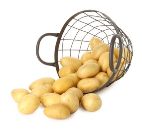 Photo of Young potatoes with metal basket isolated on white