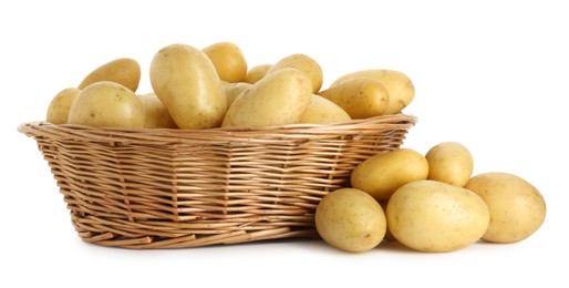 Photo of Young potatoes in wicker basket isolated on white