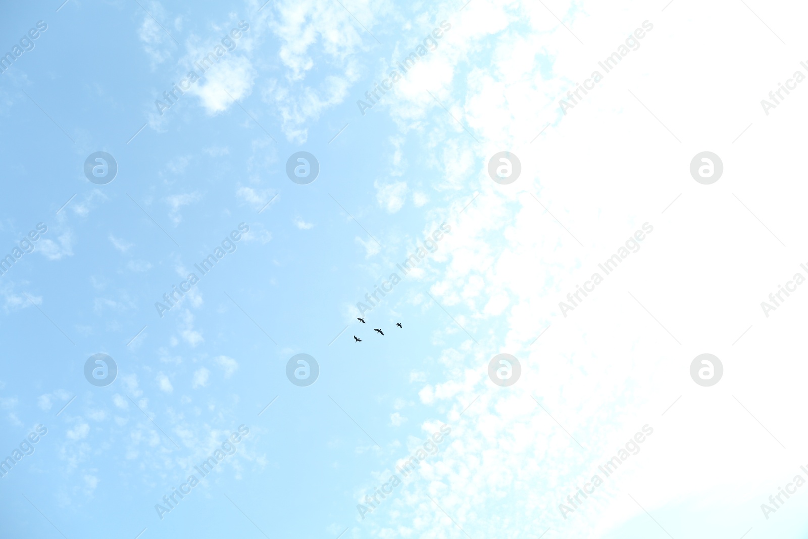 Photo of Picturesque view of birds flying across cloudy sky