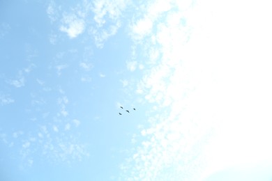 Photo of Picturesque view of birds flying across cloudy sky