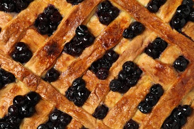 Photo of Tasty homemade pie with blueberries as background, top view